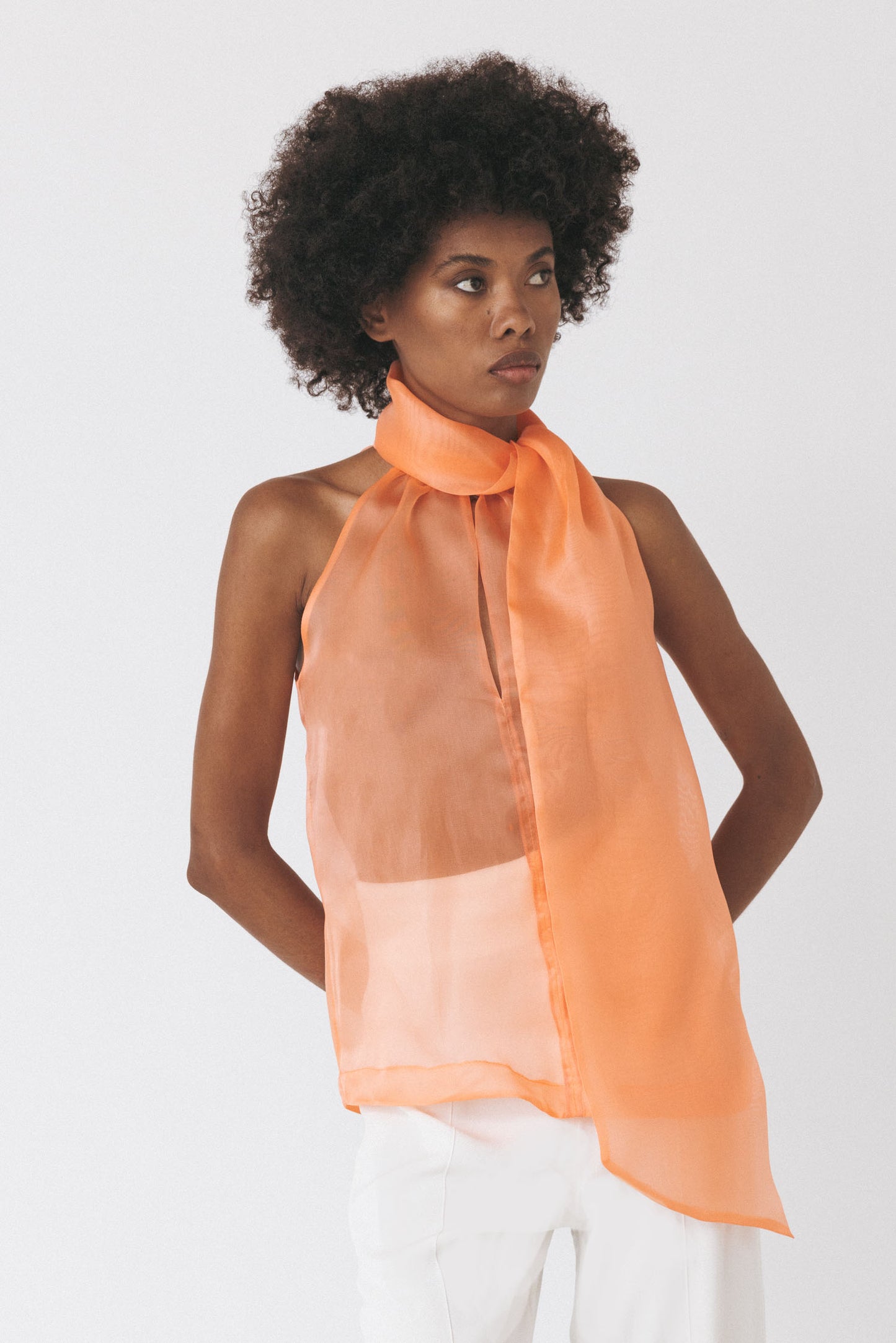 Halterneck Organza Top